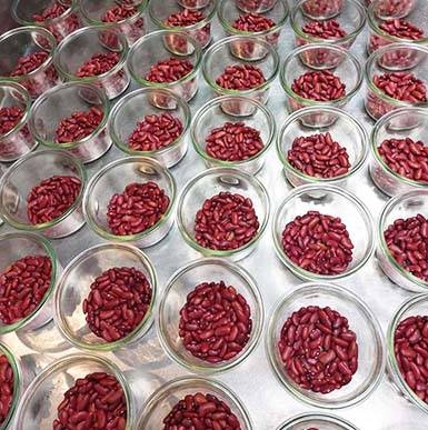 L'Équipe - Le Midi Libre - Restaurant Trélazé - meilleur restaurant TRELAZE